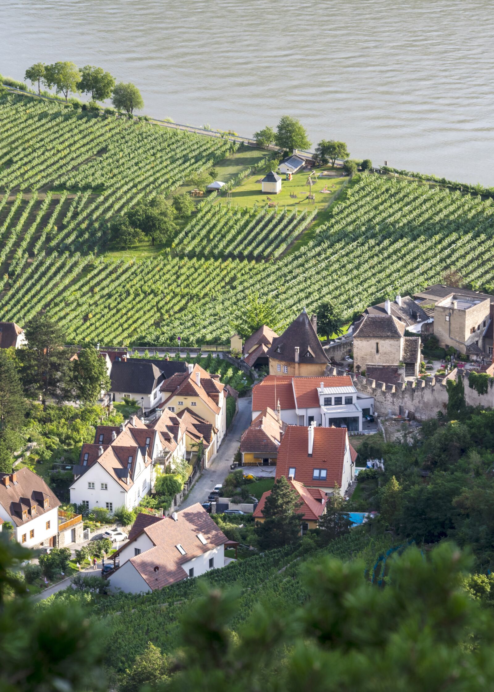 Nikon D3300 sample photo. Valley, vineyards, town photography