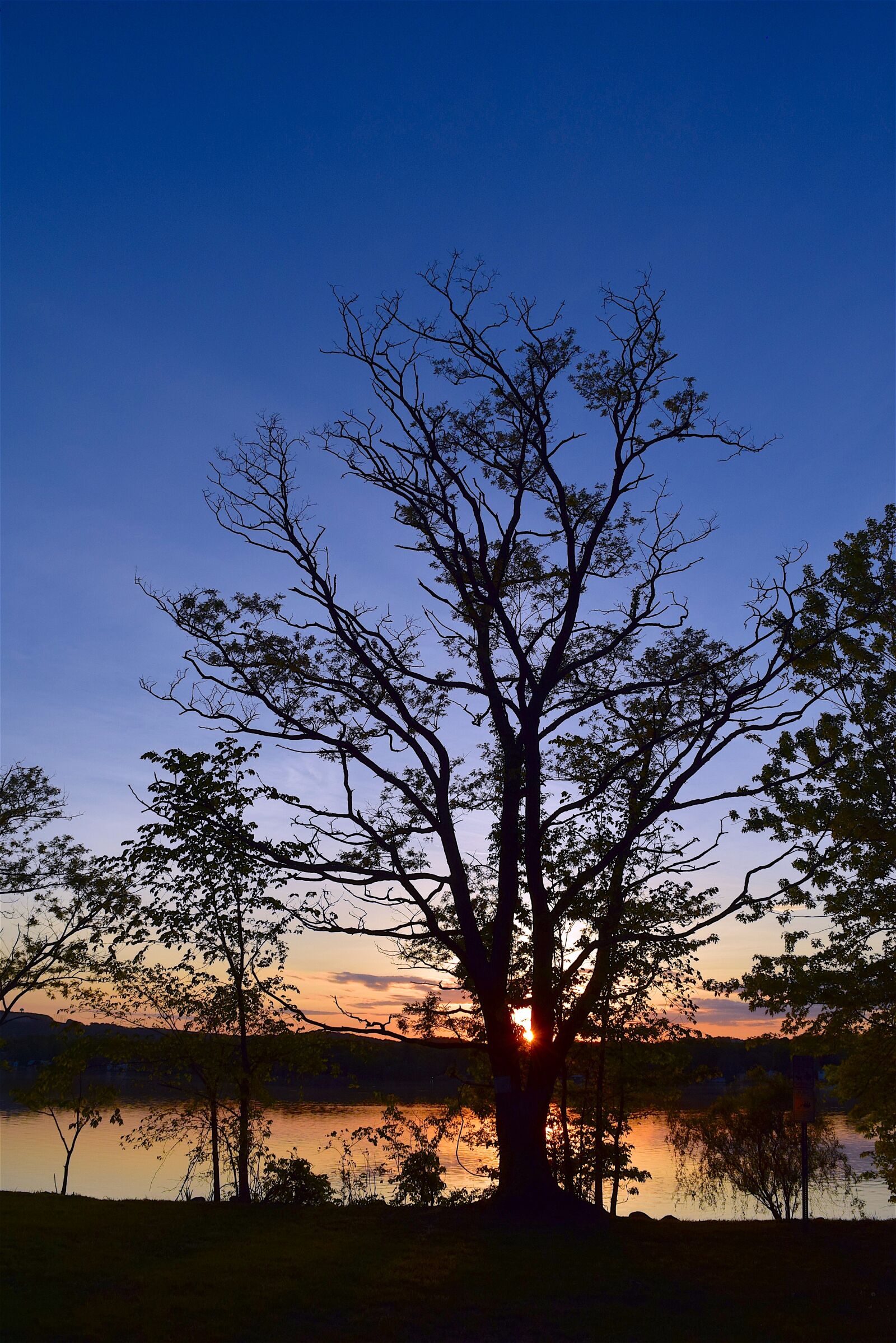 Nikon D3300 sample photo. Tree, silhouette, sunset photography