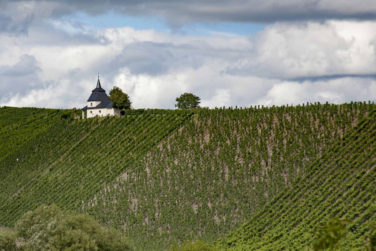 Canon EOS 5D + Canon EF 28-135mm F3.5-5.6 IS USM sample photo. Mosel, vineyards, chapel photography