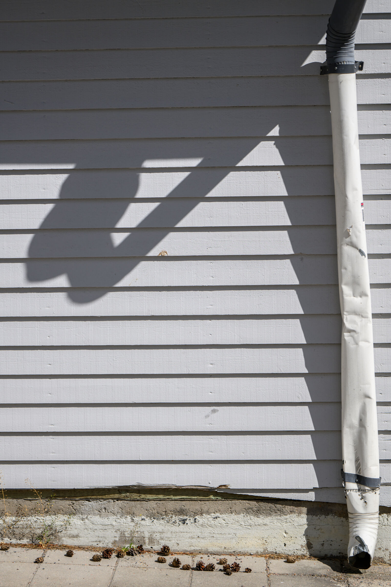 Nikon Z8 sample photo. Shadow wall photography