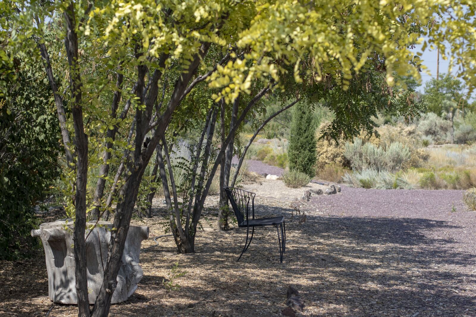 Canon EOS 80D + Canon EF 50mm F1.4 USM sample photo. Desert oasis, peace, walk photography