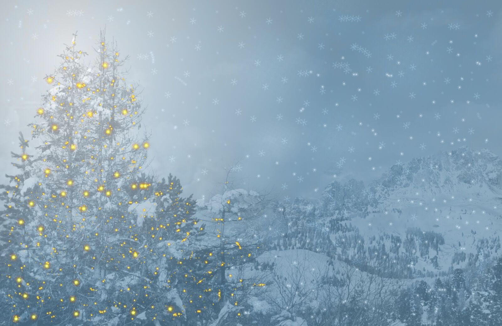 Nikon D3200 sample photo. Christmas, fir tree, christmas photography