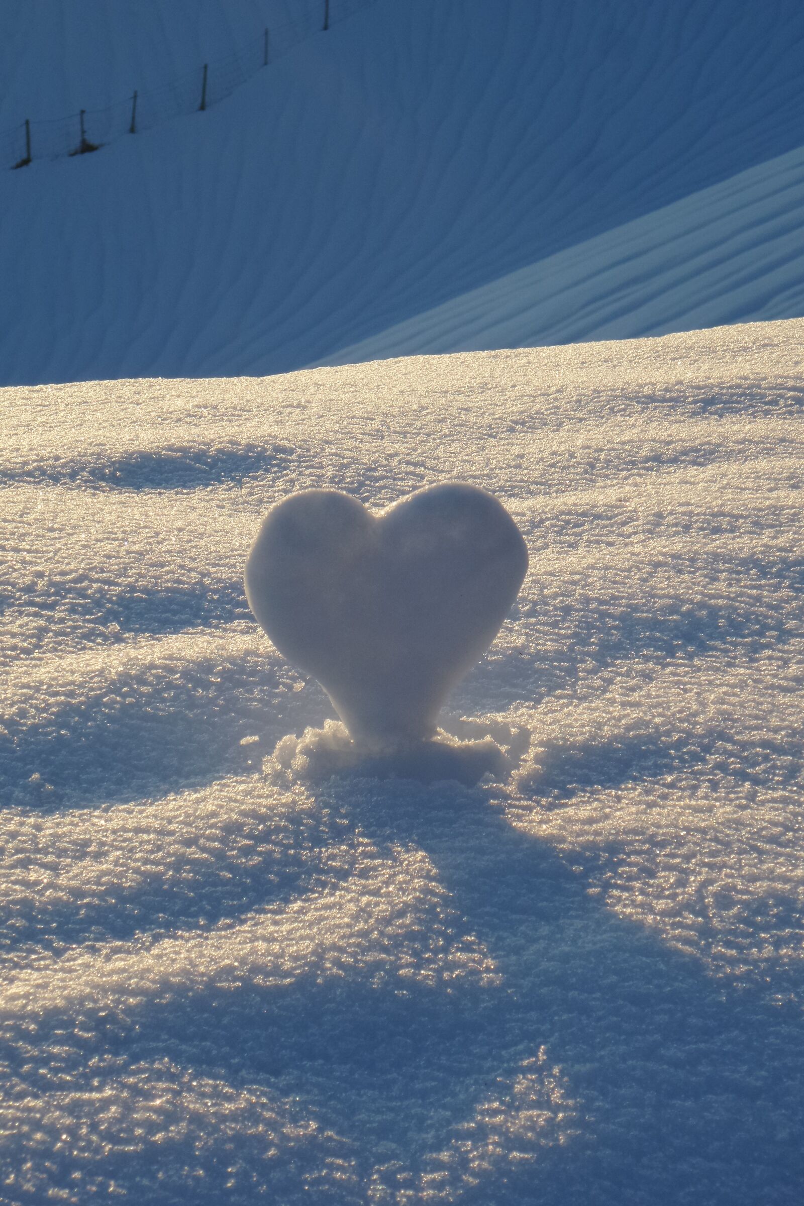 Samsung Galaxy K Zoom sample photo. Nature, snow, heart photography