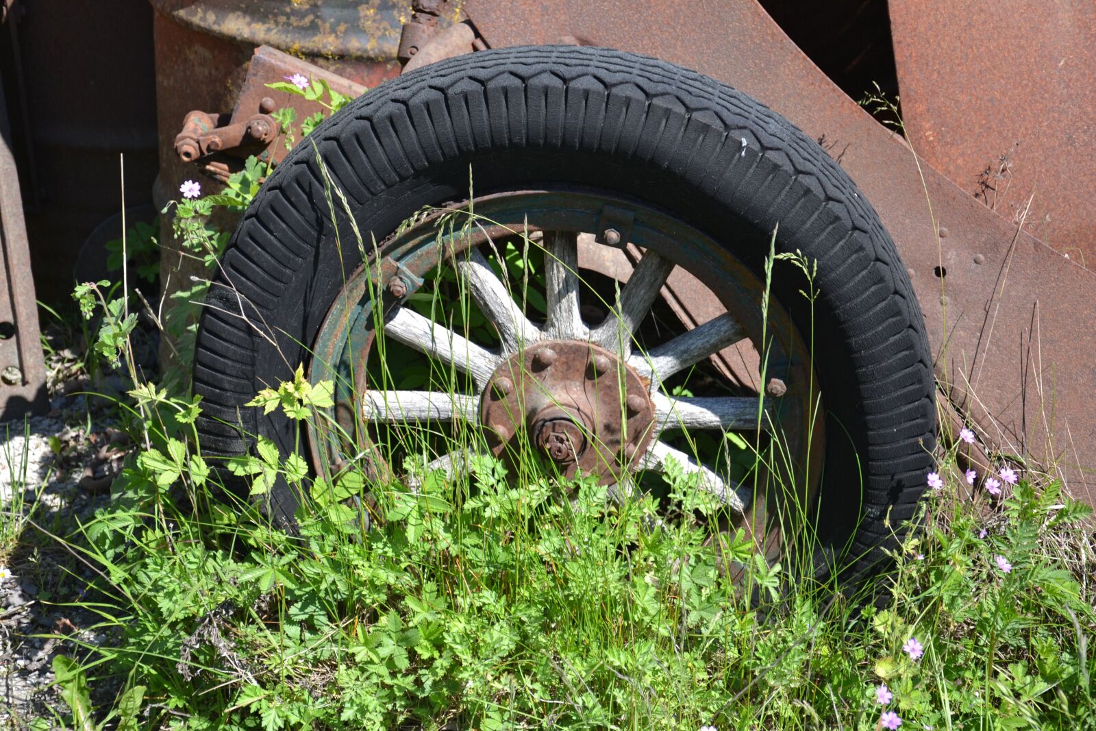 Nikon D3100 sample photo. Nature, spring, tires photography