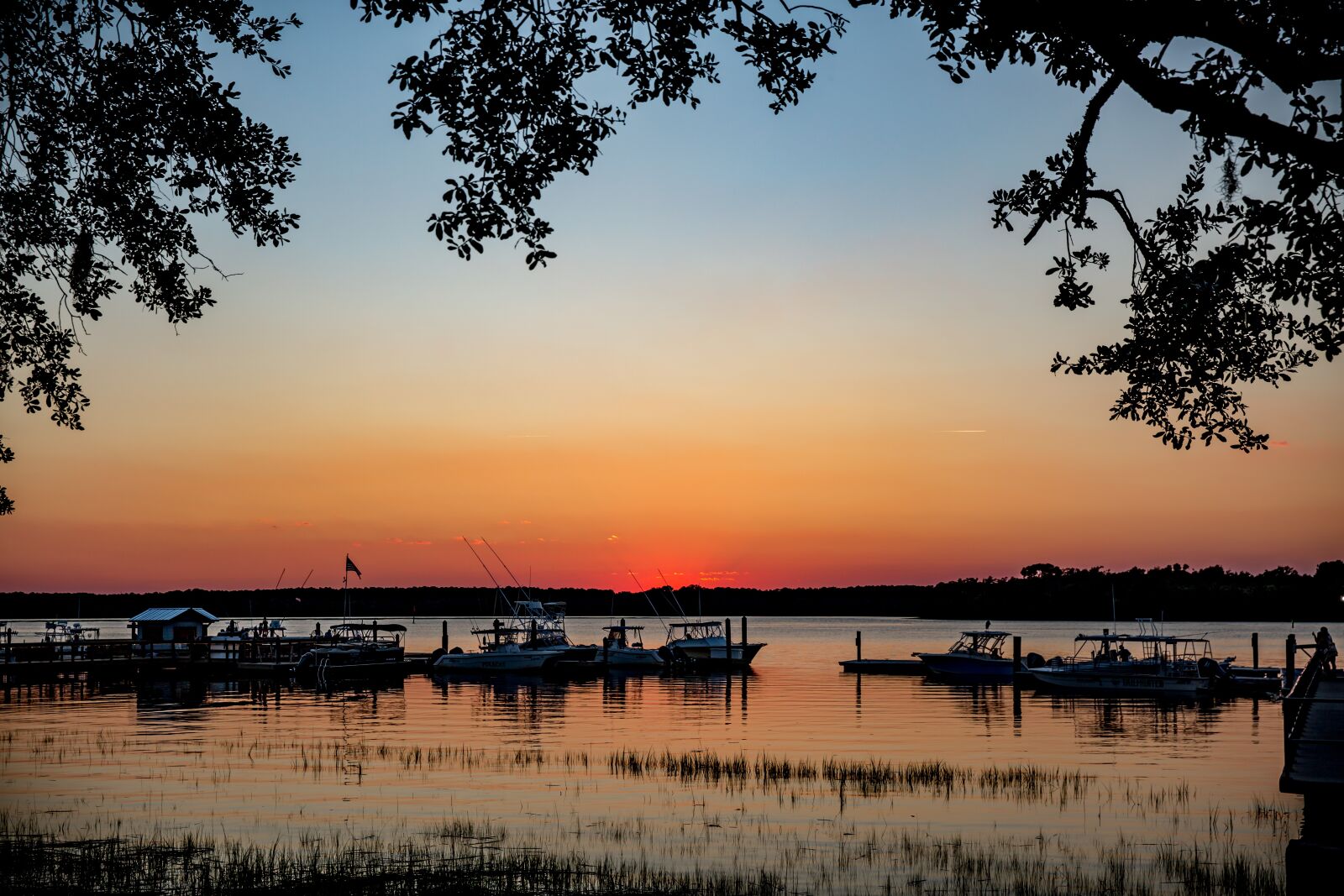 Canon EF 24-70mm F2.8L II USM sample photo. Hilton head, skull creek photography