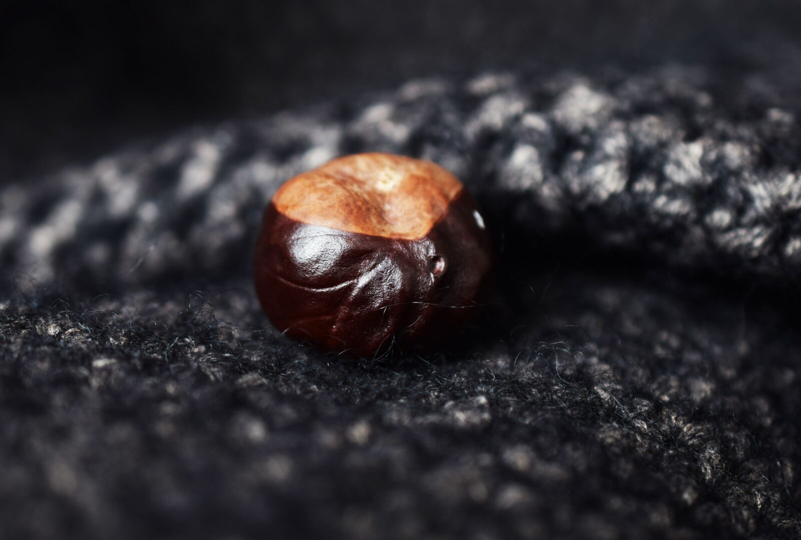 Nikon D5300 sample photo. Chestnut, autumn, wave photography