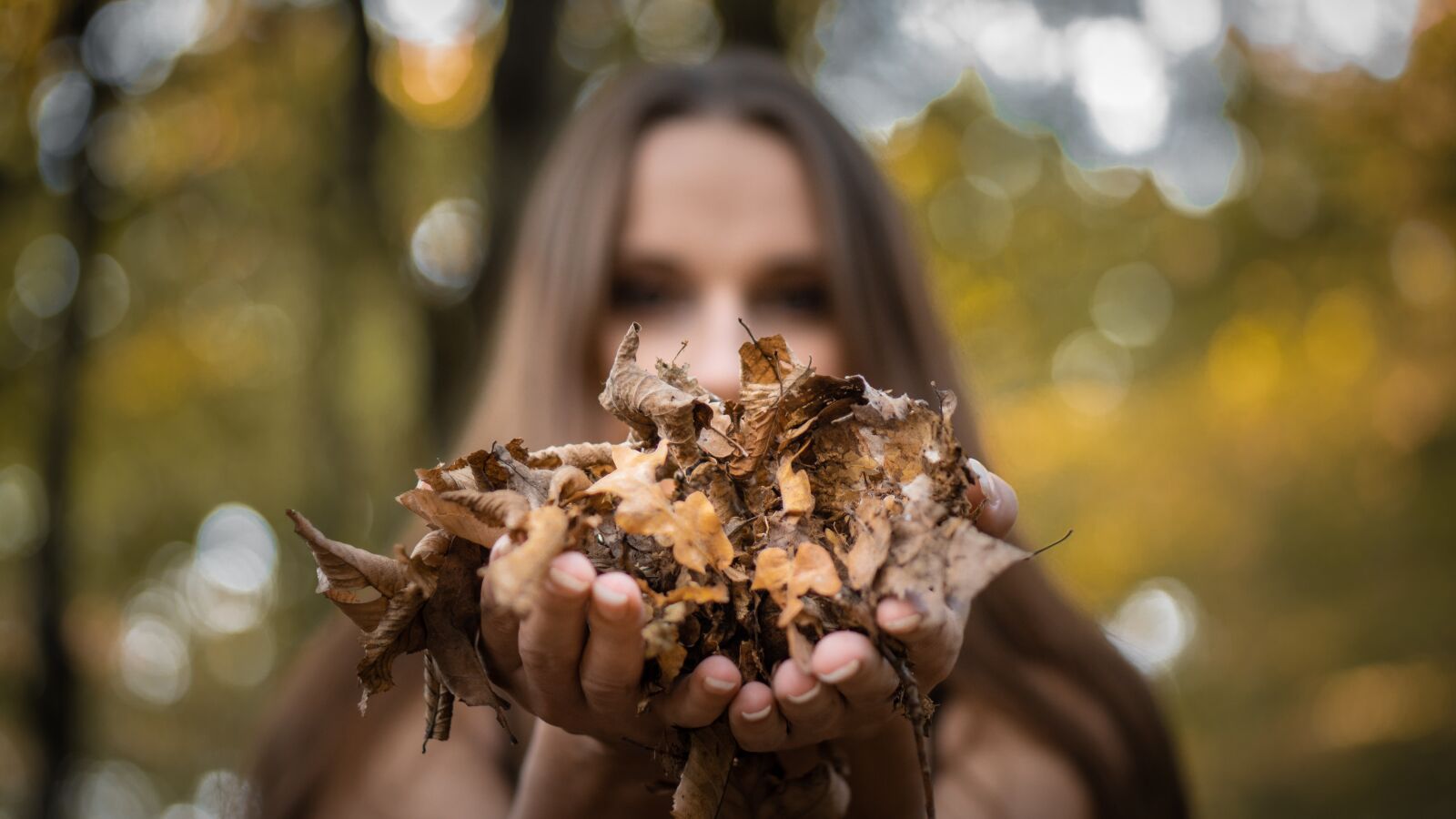 E 50mm F1.8 OSS sample photo. Leaves, girl, autumn photography