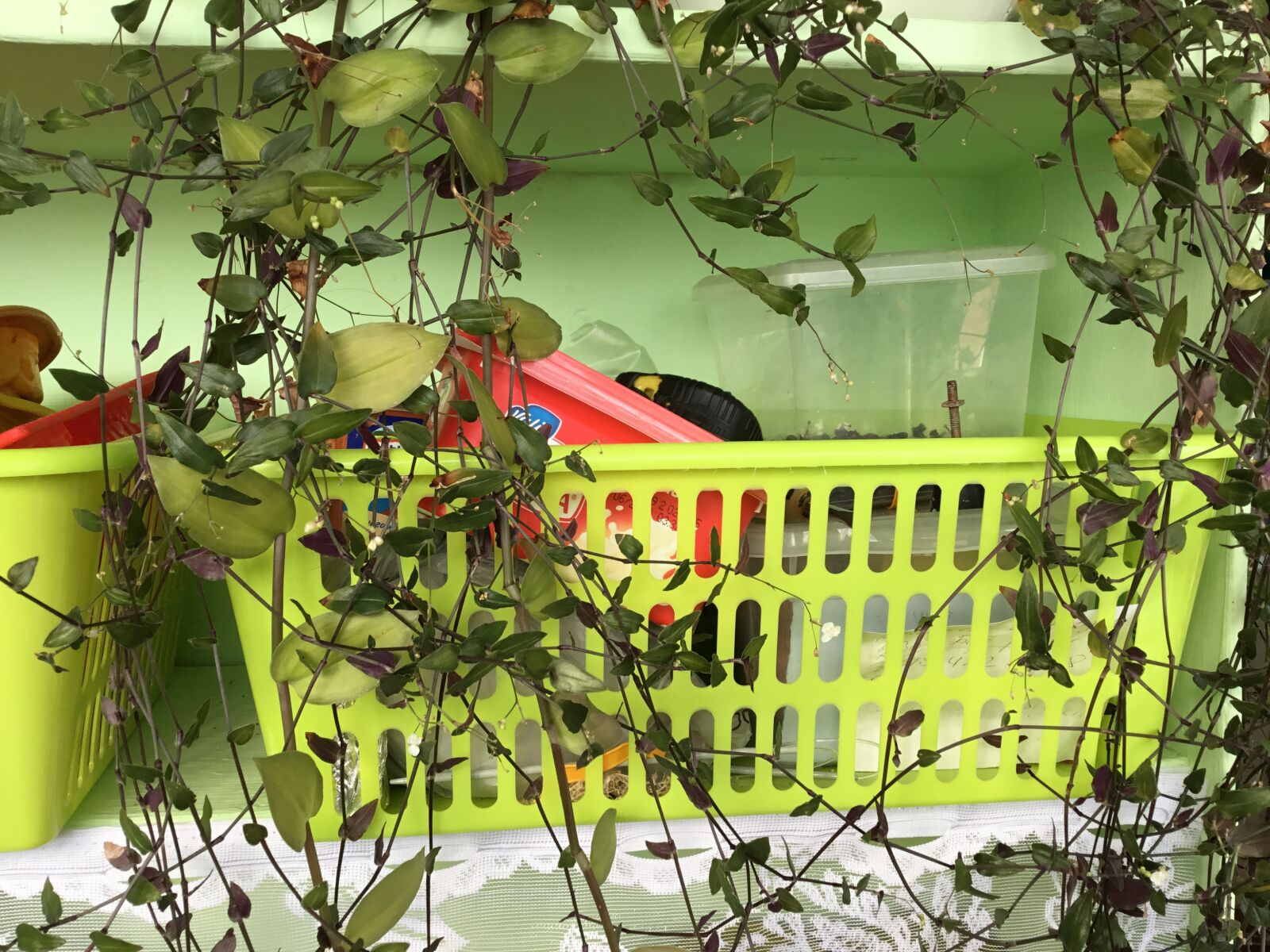 Apple iPad (5th generation) sample photo. Interior, green, design photography