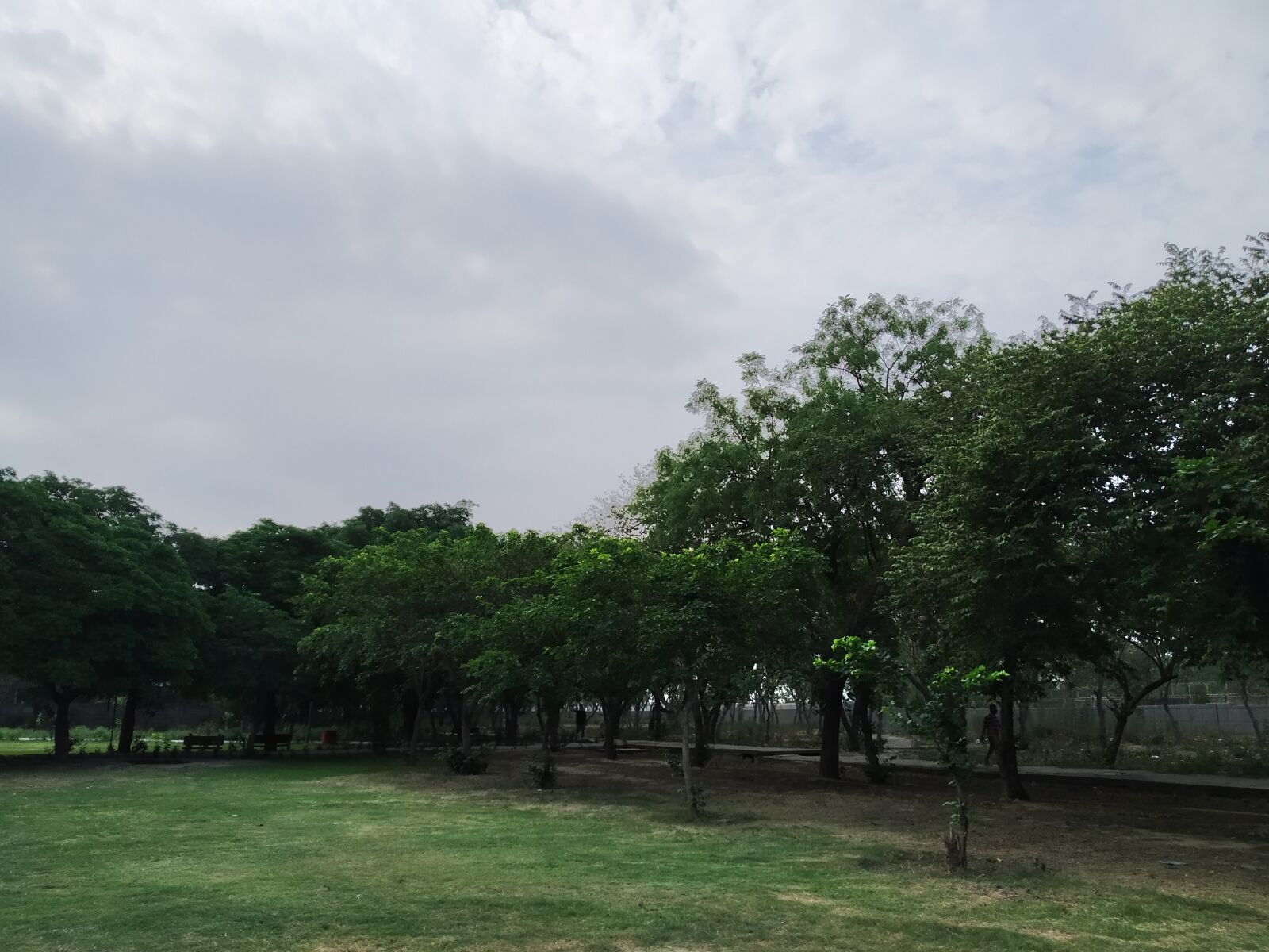 Xiaomi Redmi 7 sample photo. Park, green, nature photography