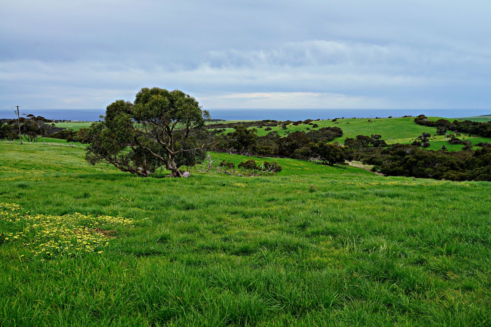 Sony Cyber-shot DSC-RX1R sample photo. Rolling meadows, green fields photography