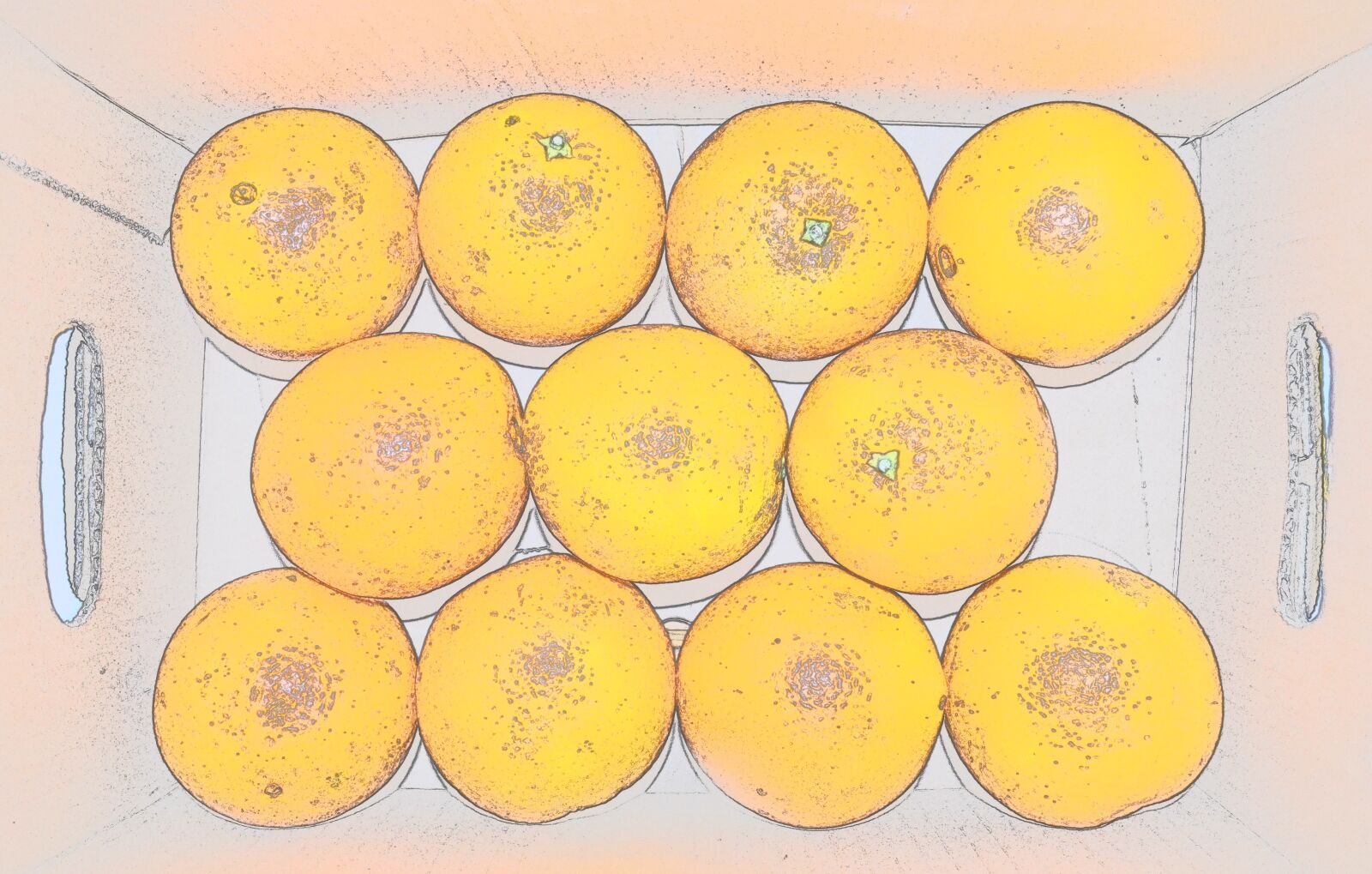 Nikon D5100 sample photo. Background, orange, orange background photography