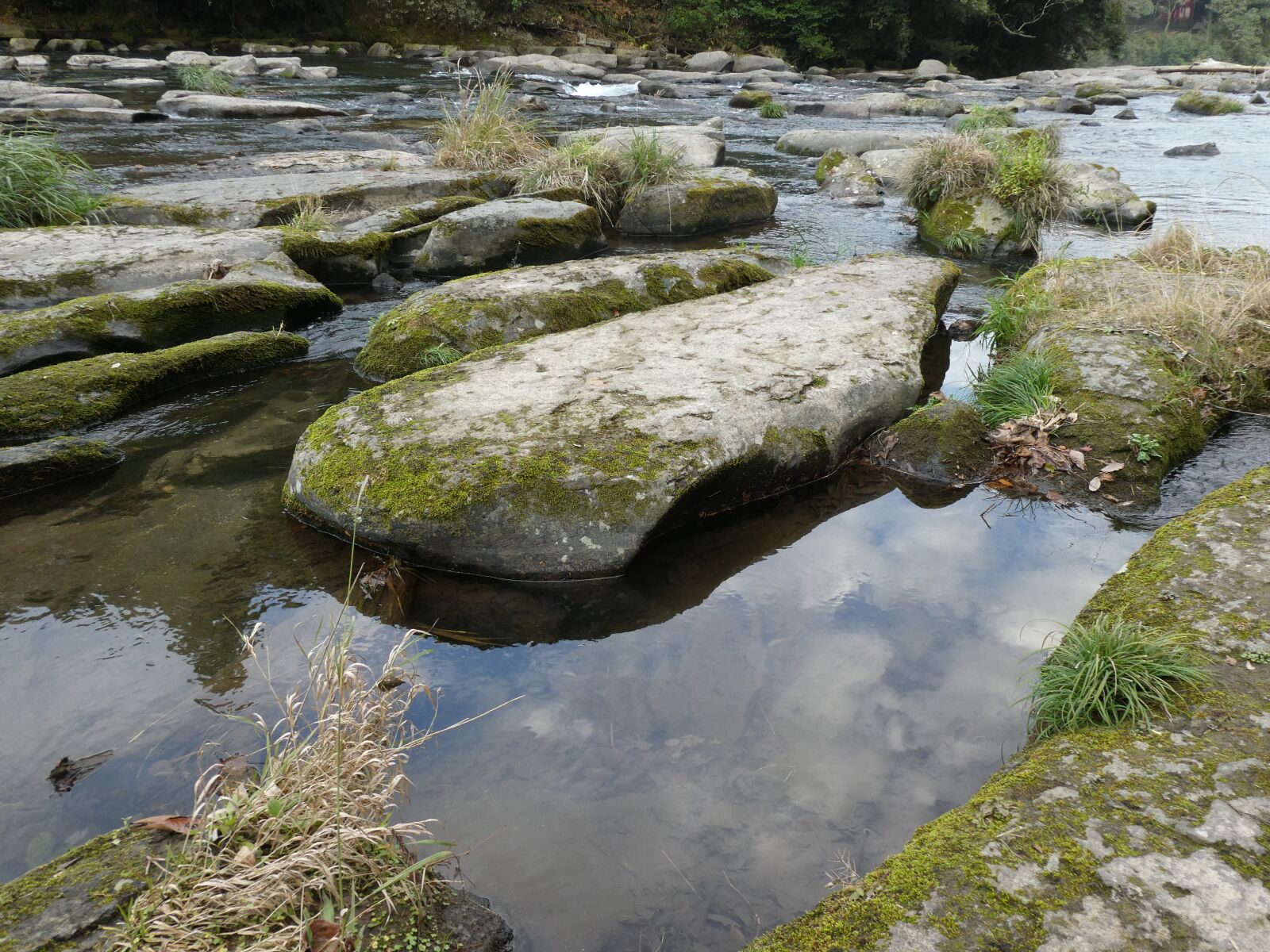 Panasonic Lumix DC-ZS70 (Lumix DC-TZ90) sample photo. River, mountain, woods photography