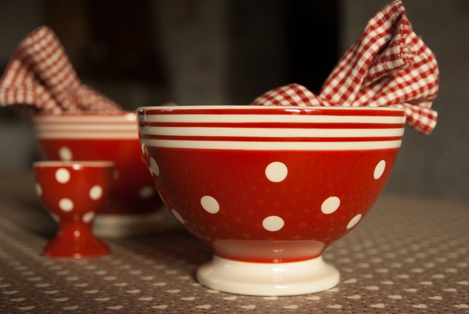 Pentax K10D sample photo. Bowl, towel, breakfast photography