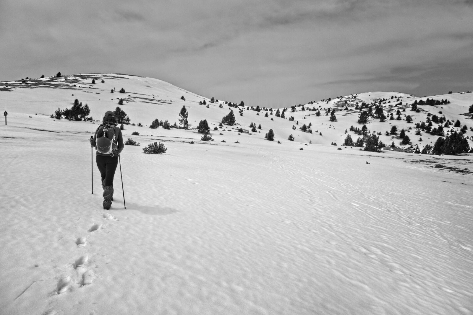Fujifilm X-T1 sample photo. Snow, skimo, black and photography