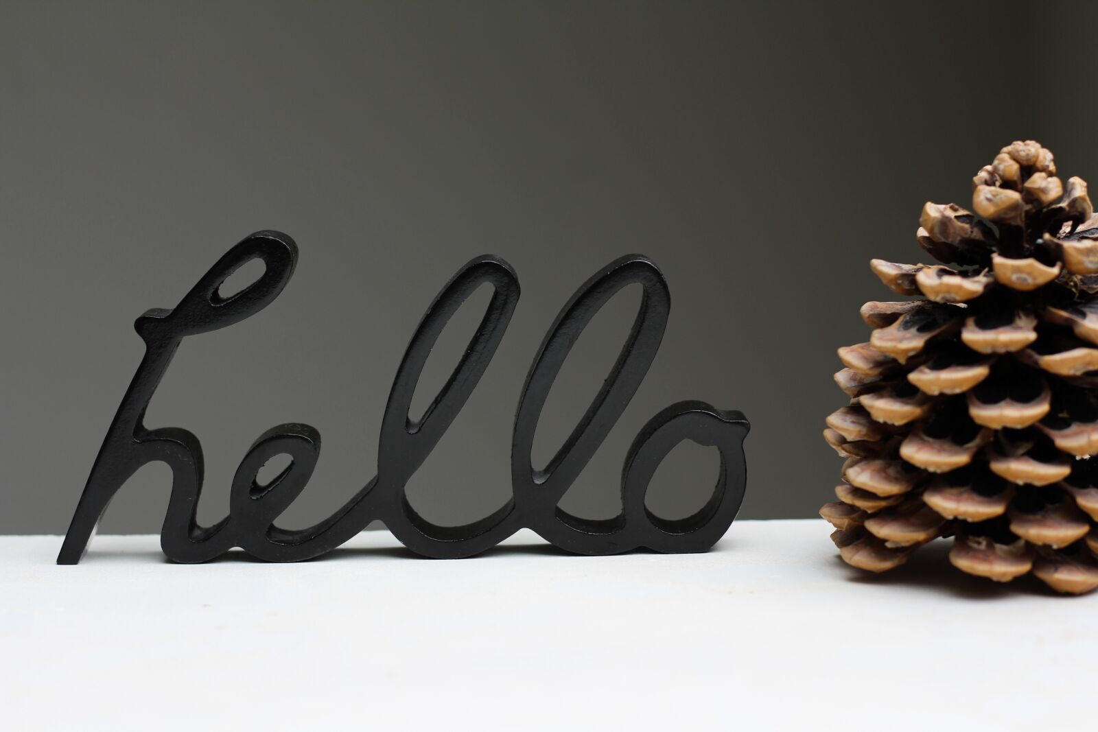 Canon EOS 700D (EOS Rebel T5i / EOS Kiss X7i) sample photo. Hello, pine cones, welcome photography