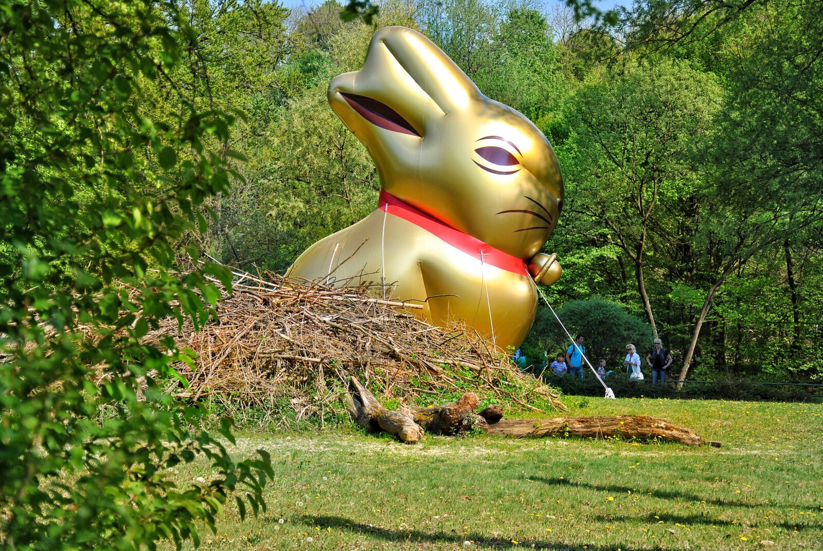 Nikon D3000 sample photo. Easter bunny, easter theme photography