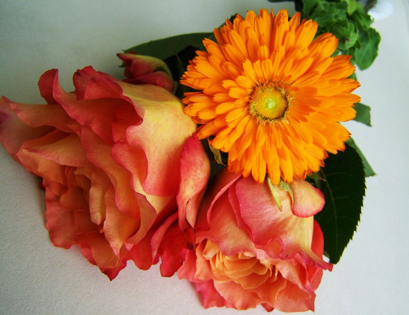 Kodak EASYSHARE ZD710 ZOOM DIGITAL CAMERA sample photo. Flower bouquet, orange-pink flowers photography