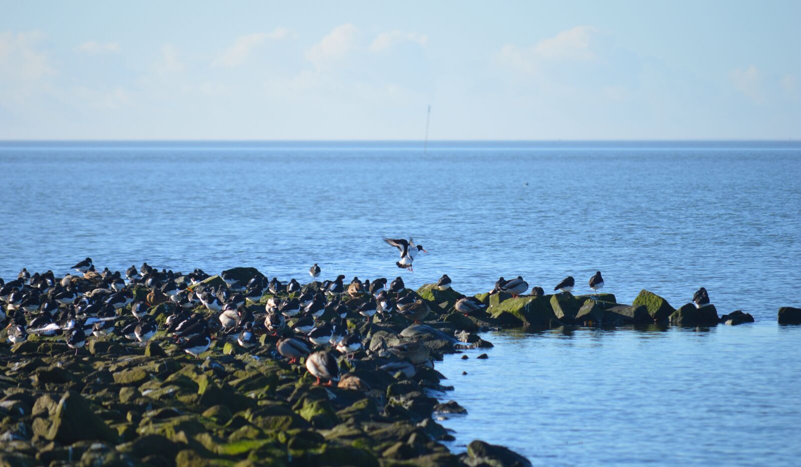 Nikon D3200 sample photo. North sea, stones, coastal photography