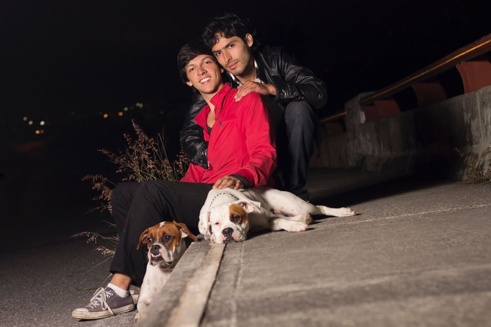 Canon EF 50mm F1.8 II sample photo. Dog, dogs, pet, pets photography