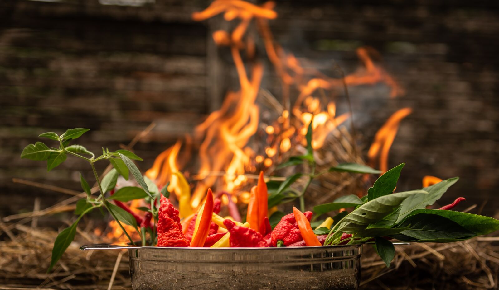 Nikon D750 sample photo. Fire, chili, sharp photography
