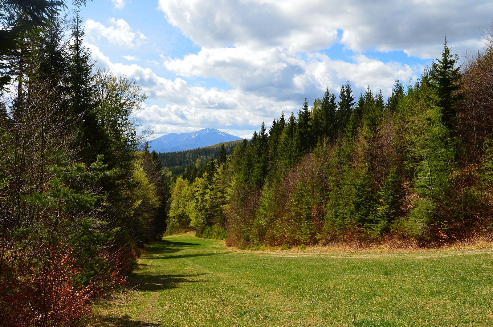 Nikon D3200 sample photo. Under the mountain, mountain photography