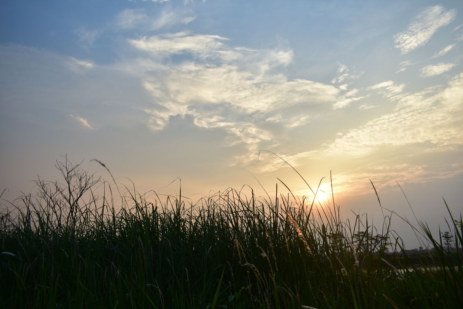 Nikon D3400 sample photo. Sunset, dusk, clouds photography