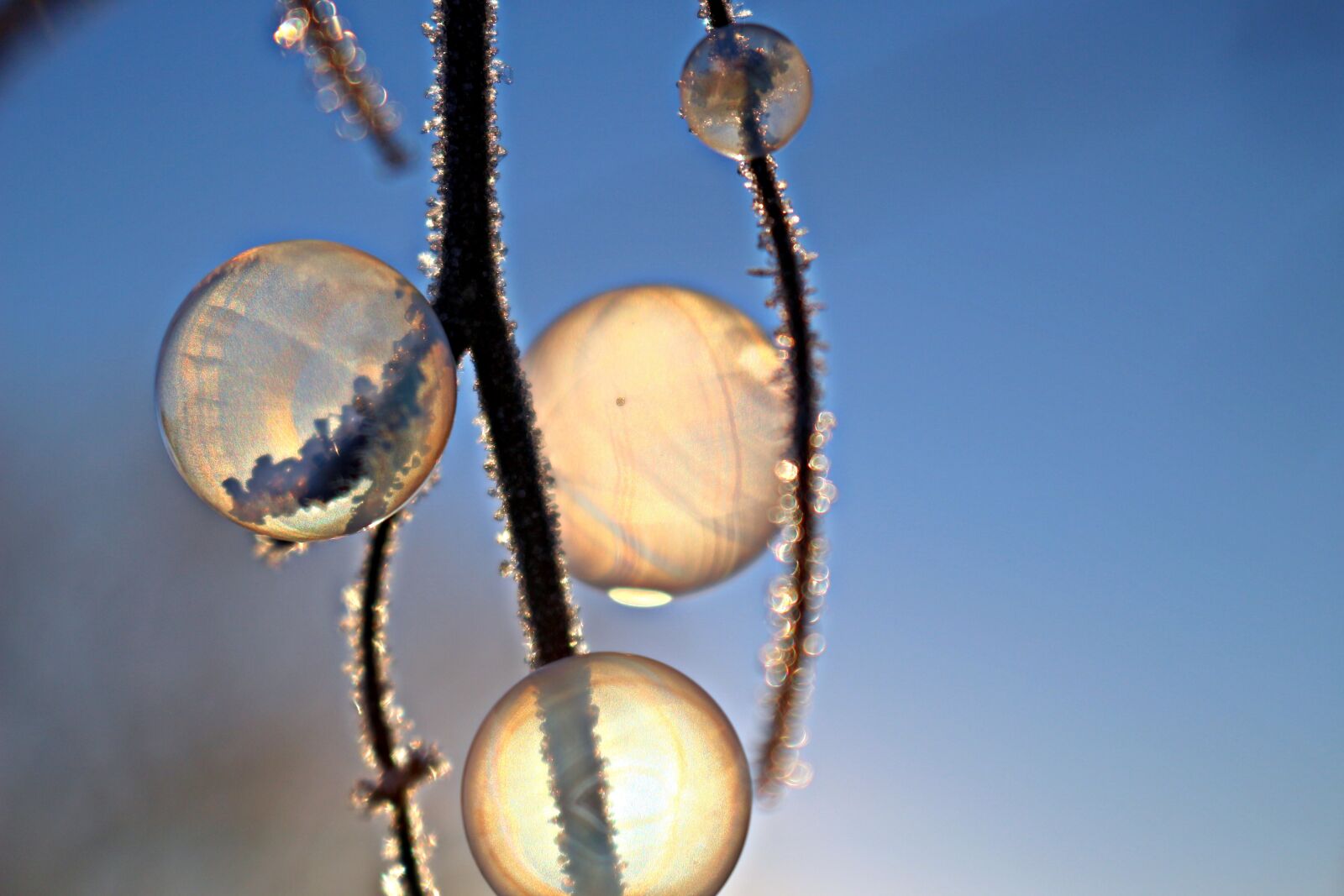 Canon EOS 100D (EOS Rebel SL1 / EOS Kiss X7) sample photo. Frost bubble, ball, soap photography