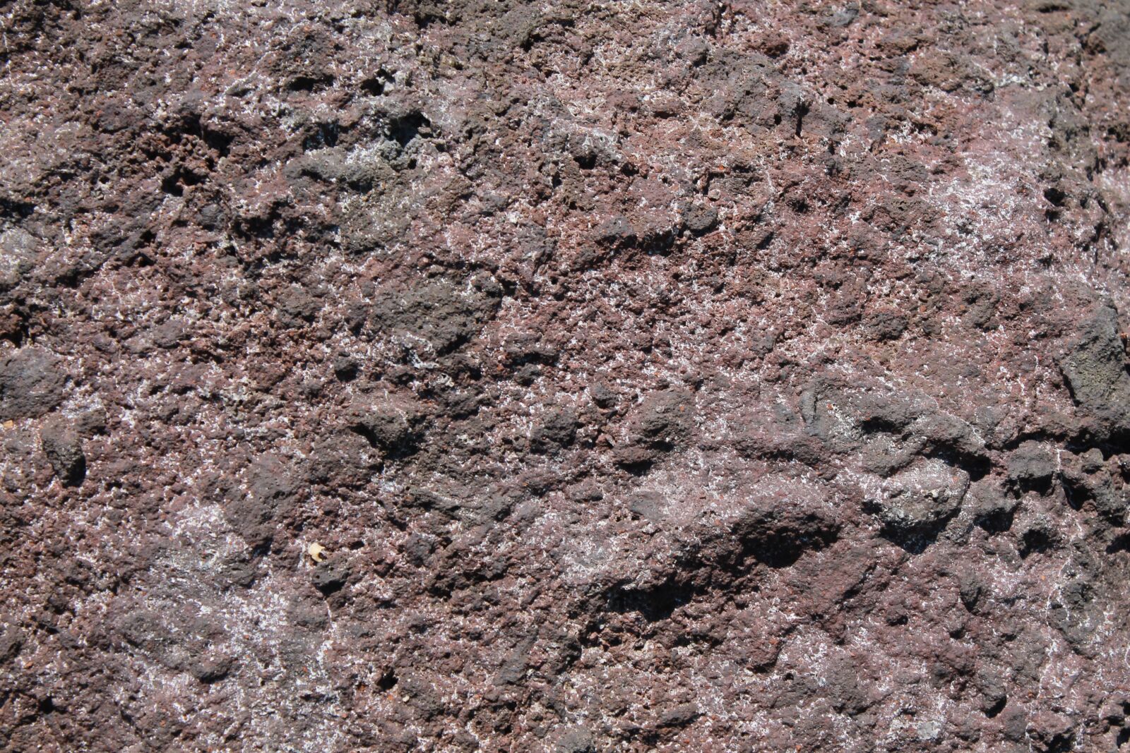 Canon EOS 1100D (EOS Rebel T3 / EOS Kiss X50) sample photo. Texture, rock, nature photography