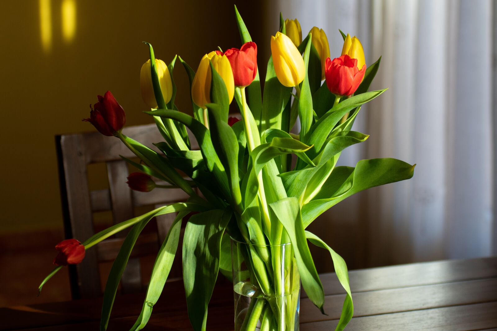 Sony a6500 + Sony DT 50mm F1.8 SAM sample photo. Flowers, light, bouquet photography
