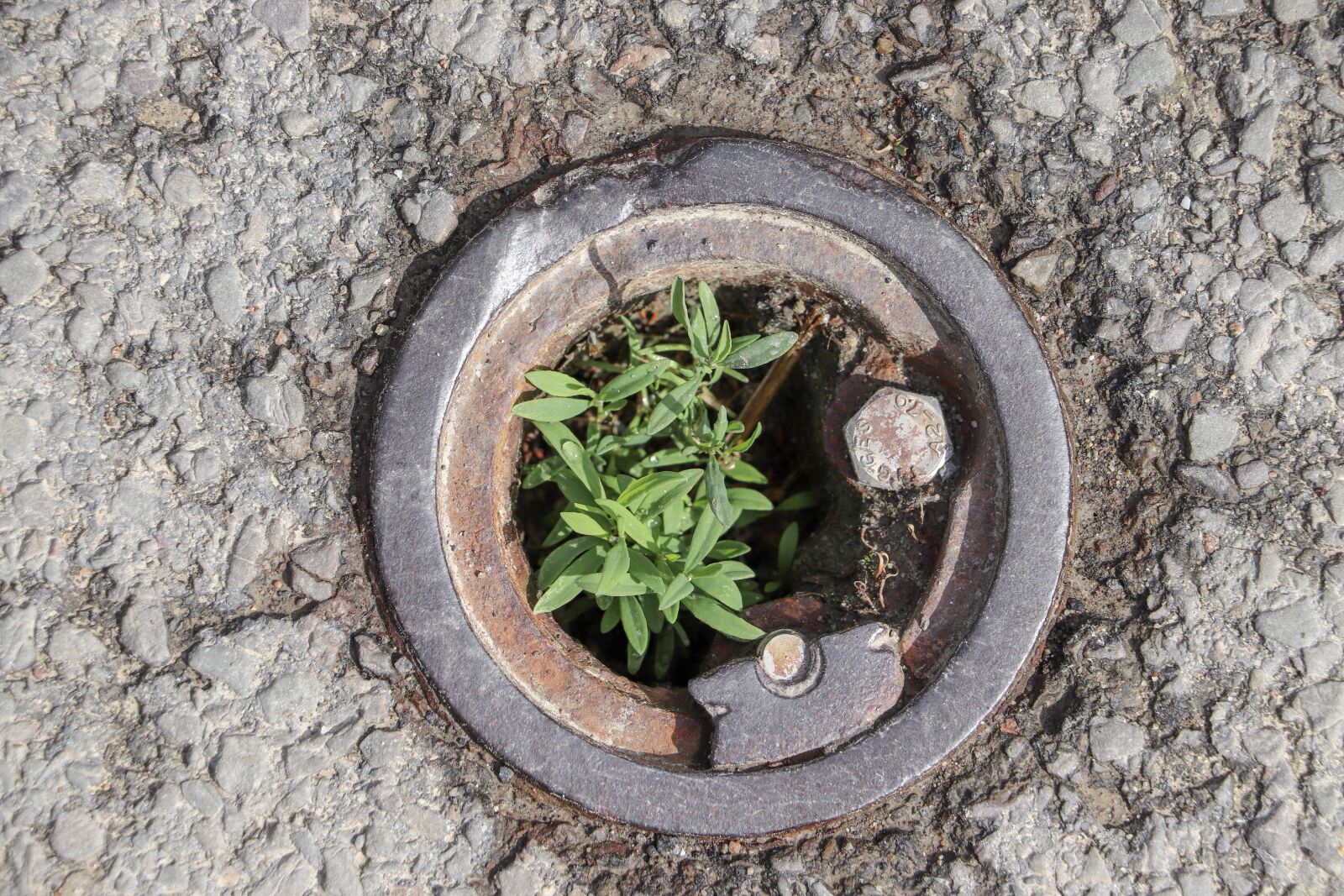 Canon EOS 200D (EOS Rebel SL2 / EOS Kiss X9) sample photo. Stone, nature, old photography