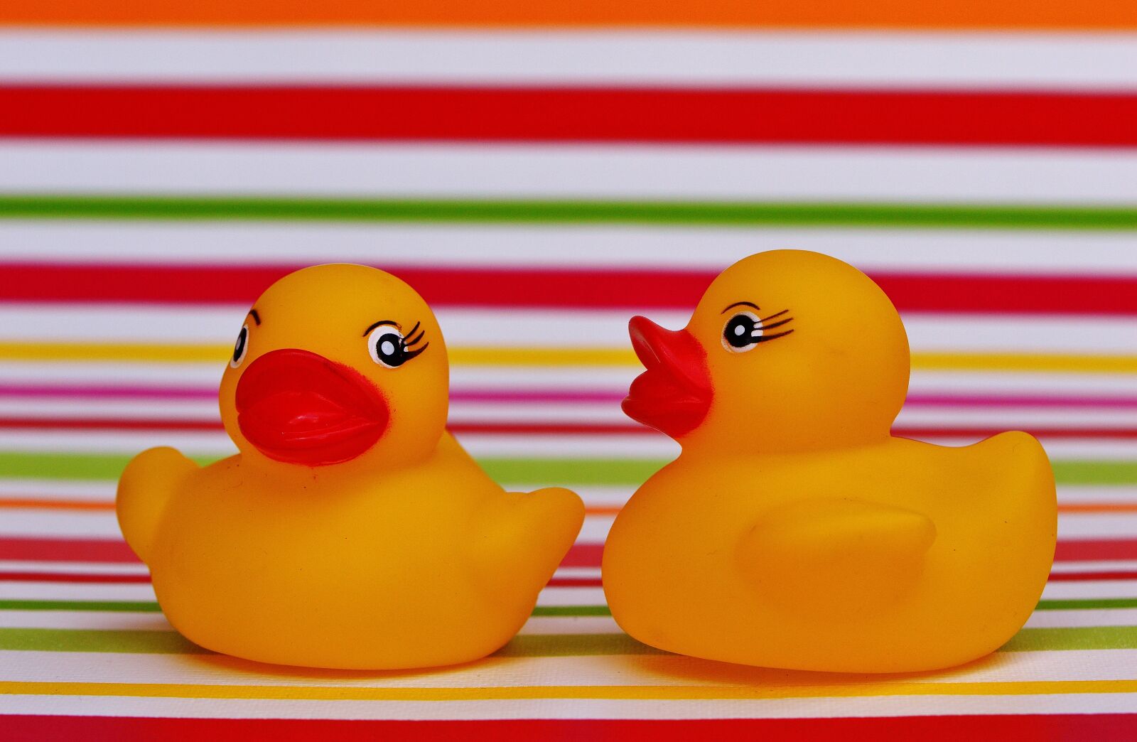 Nikon D3200 sample photo. Rubber ducks, quietscheente, funny photography