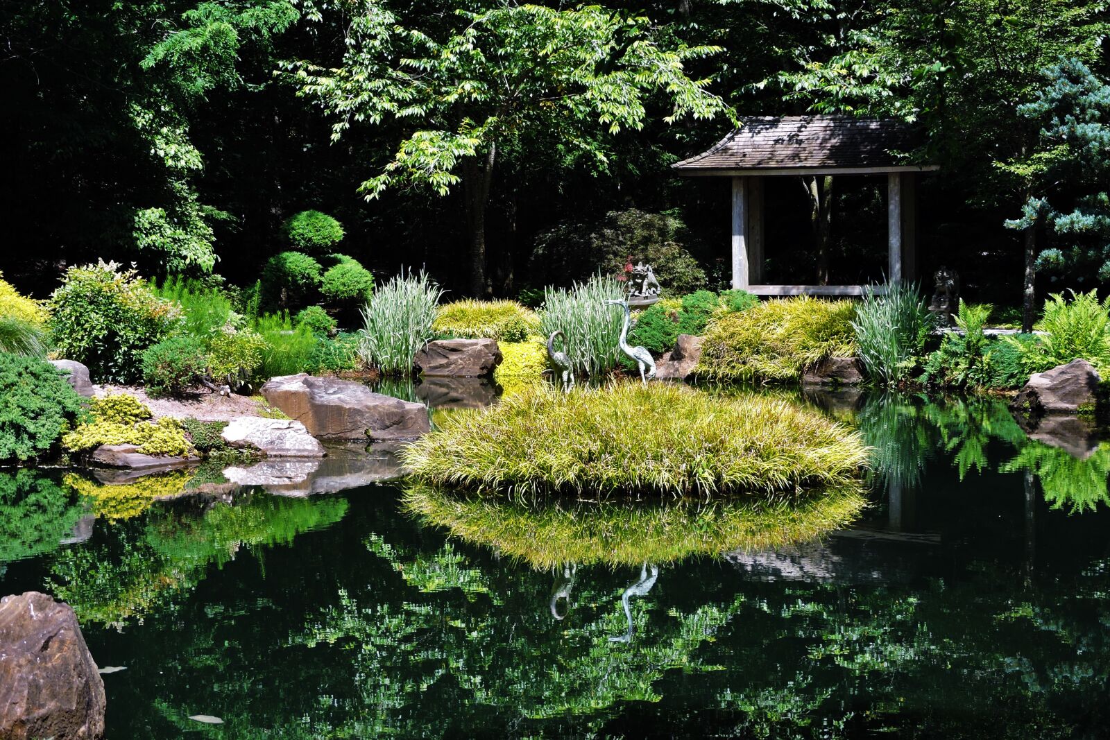 Nikon Coolpix P600 sample photo. Japanese garden, nature, zen photography