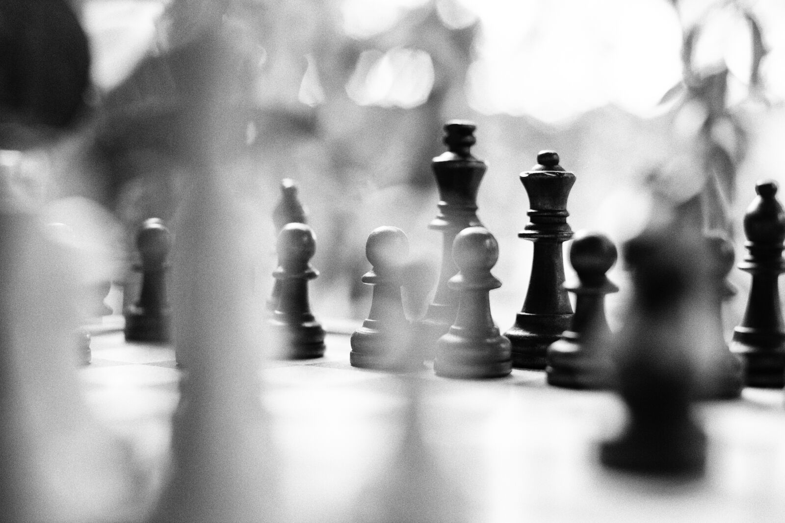 Canon EOS 5D Mark II sample photo. Chess, macro, surface photography