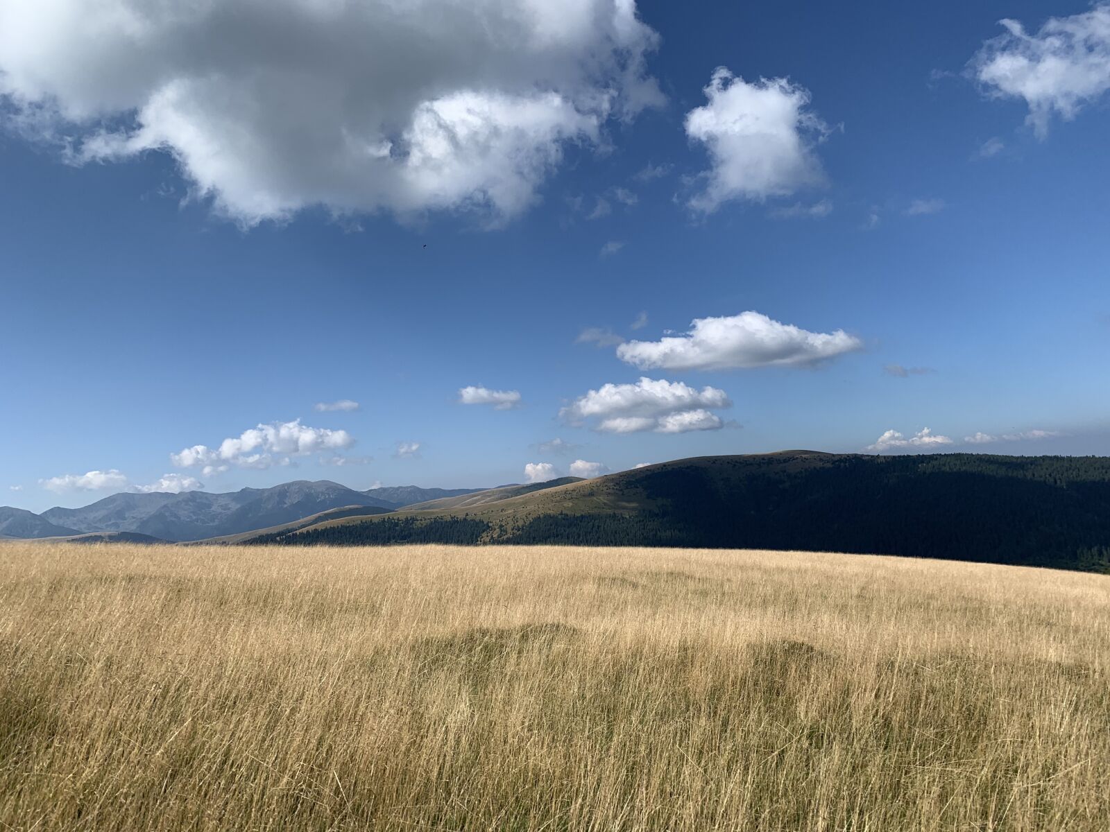 Apple iPhone XS sample photo. Panorama, romania, carpathian mountains photography