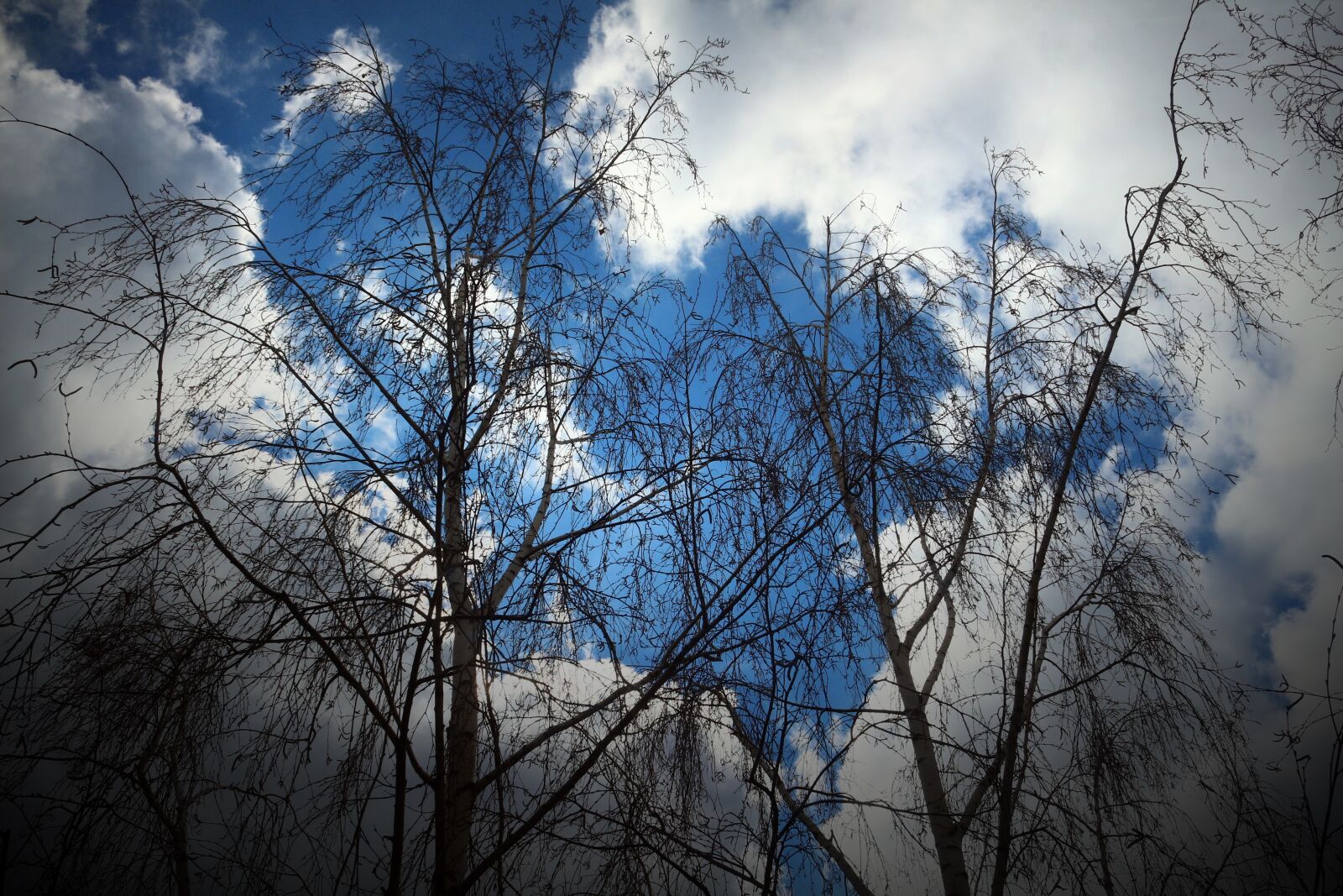Canon EOS 650D (EOS Rebel T4i / EOS Kiss X6i) sample photo. Russia, saratov, sky photography