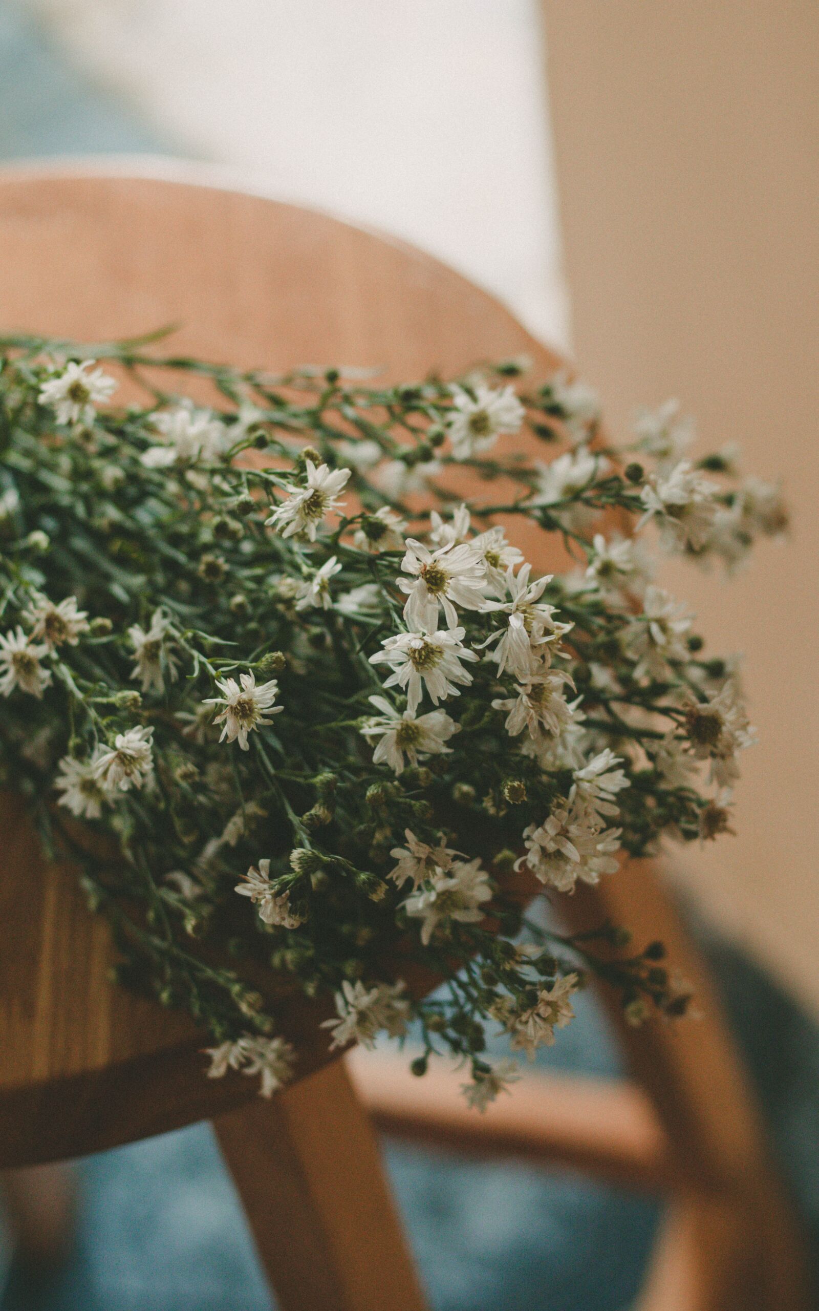 Canon EOS M50 (EOS Kiss M) + Canon EF 50mm F1.8 STM sample photo. Flowers, green, white photography