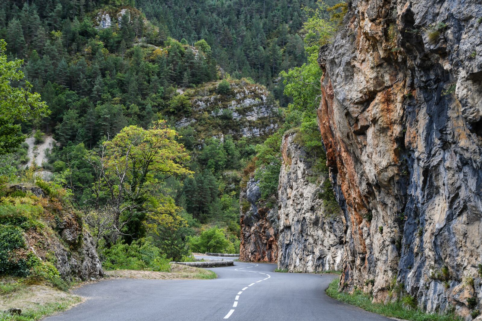 Nikon D500 sample photo. Gorges du tarn, road photography