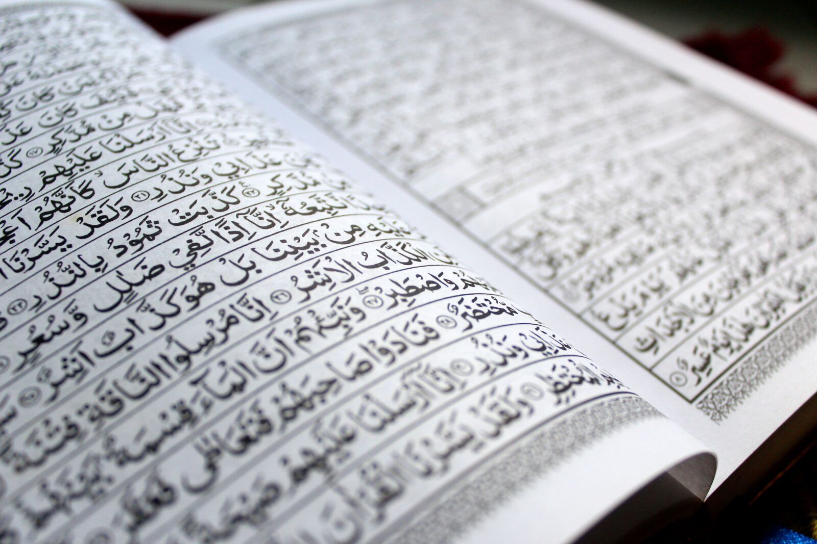 Canon EOS 600D (Rebel EOS T3i / EOS Kiss X5) sample photo. Ramadan, koran, the quran photography
