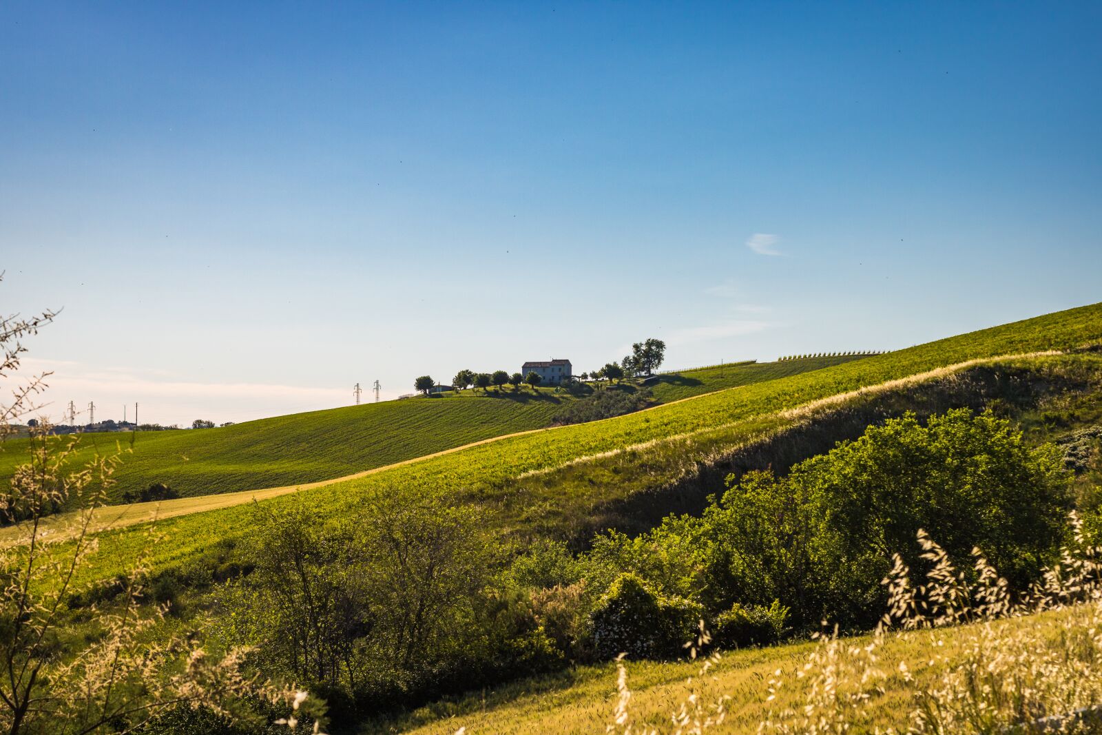 Canon EOS 2000D (EOS Rebel T7 / EOS Kiss X90 / EOS 1500D) sample photo. Farm, landscape, countryside photography