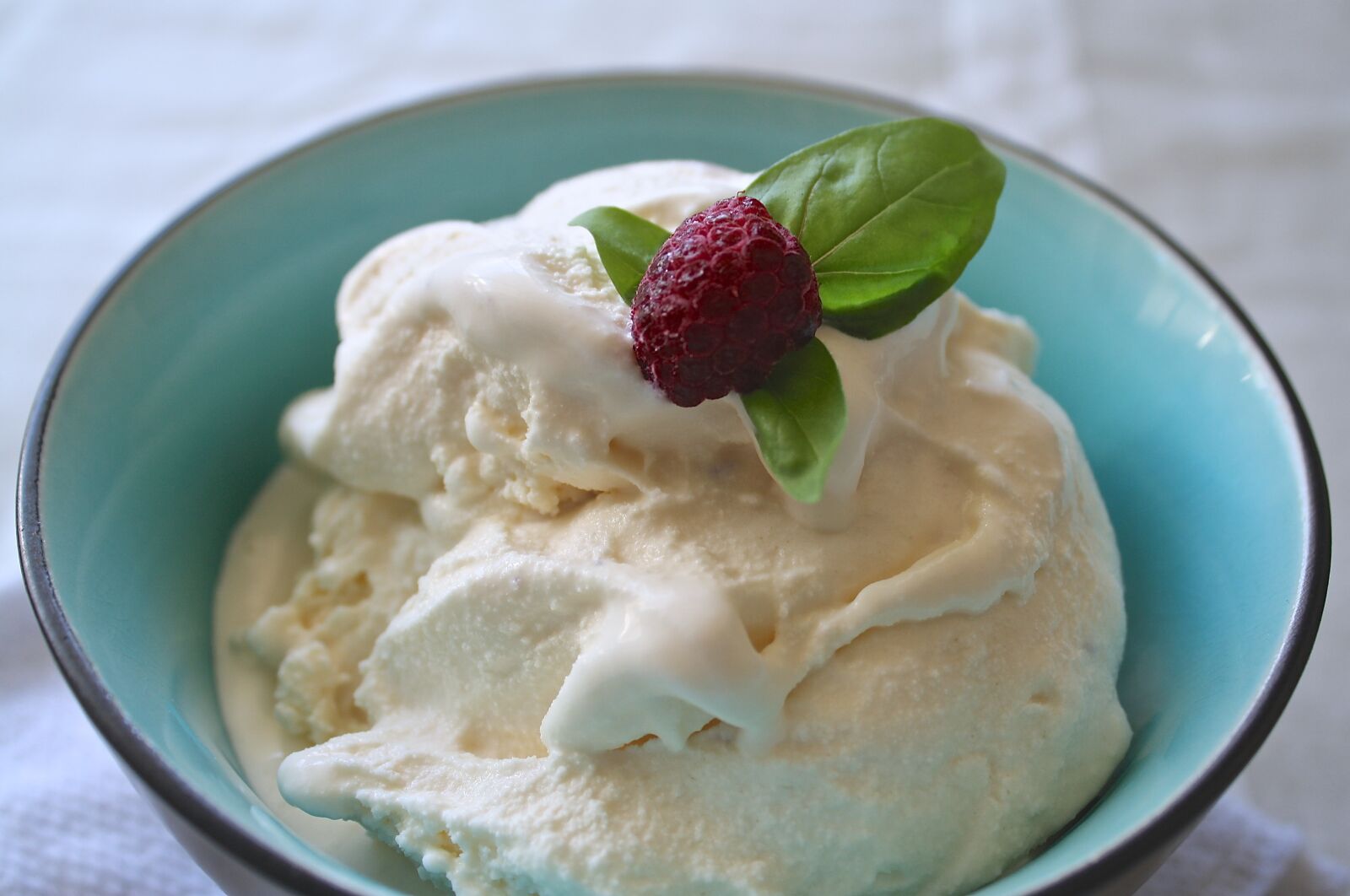 Canon EOS 1000D (EOS Digital Rebel XS / EOS Kiss F) sample photo. Ice cream, fruit, raspberry photography