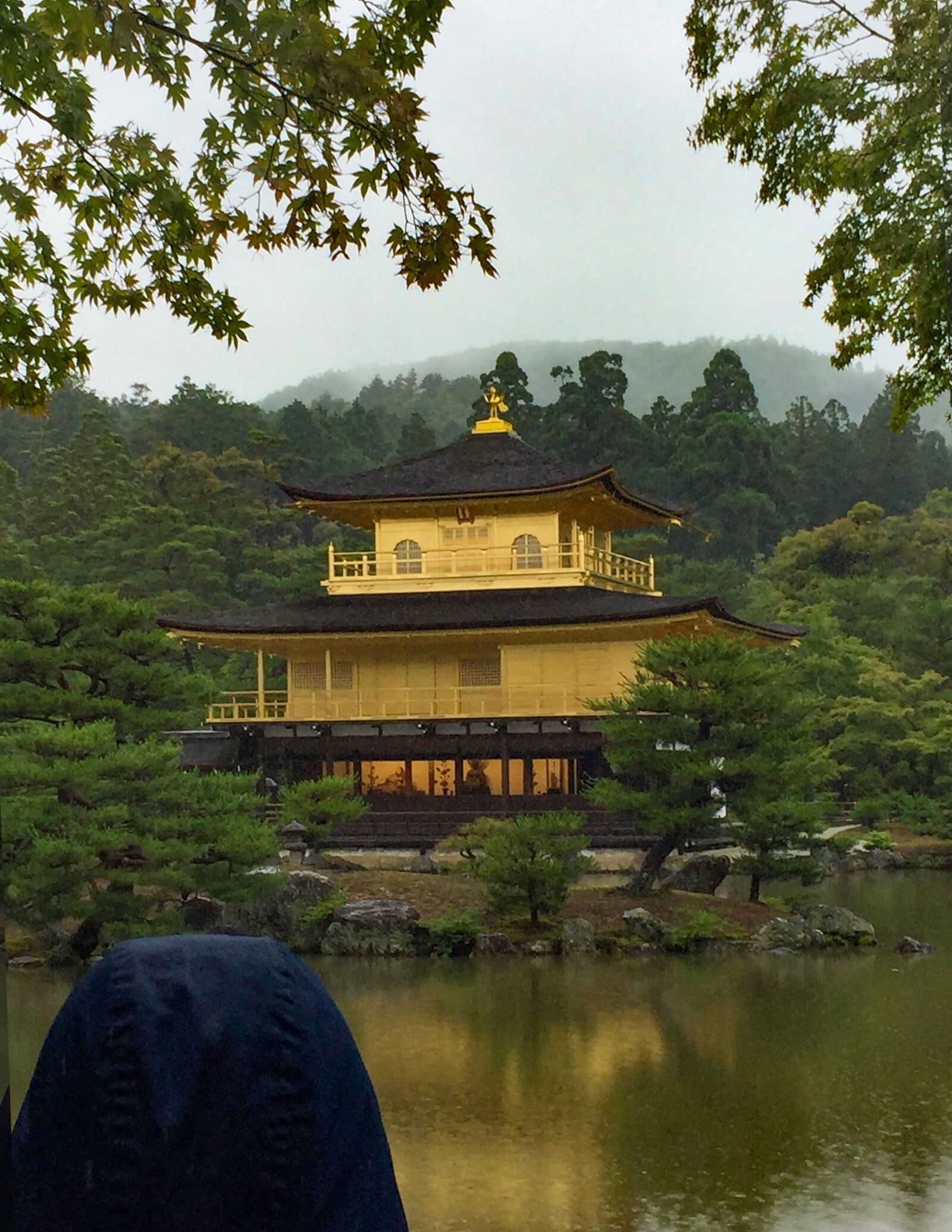 Apple iPhone 6 sample photo. Japan, kyoto, the golden photography