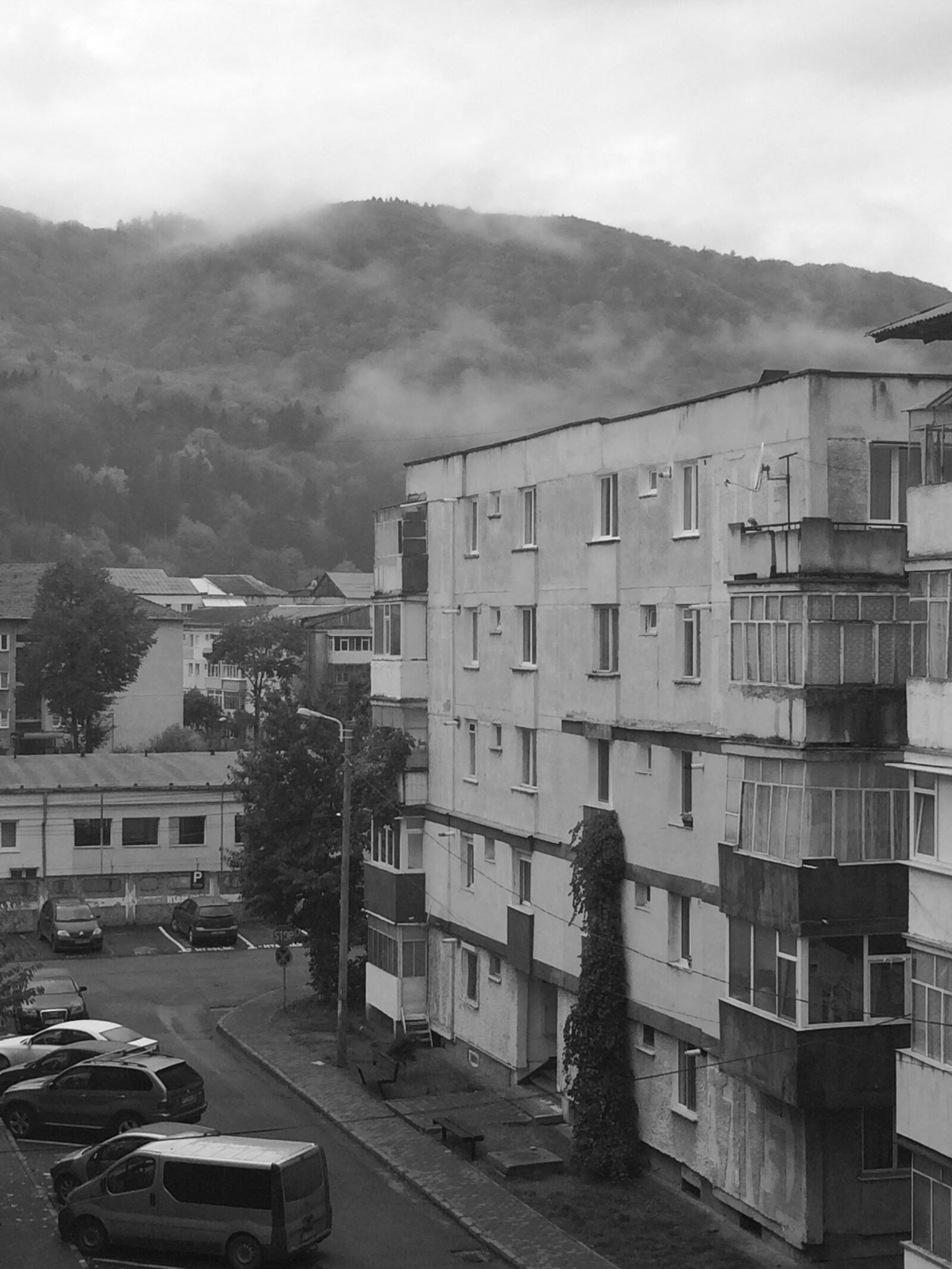 iPhone 5s back camera 4.15mm f/2.2 sample photo. Black and white, autumn photography