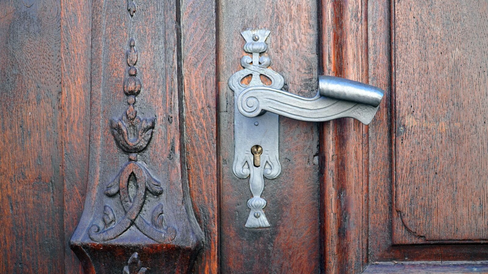 Sony E PZ 18-105mm F4 G OSS sample photo. Goal, portal, door photography