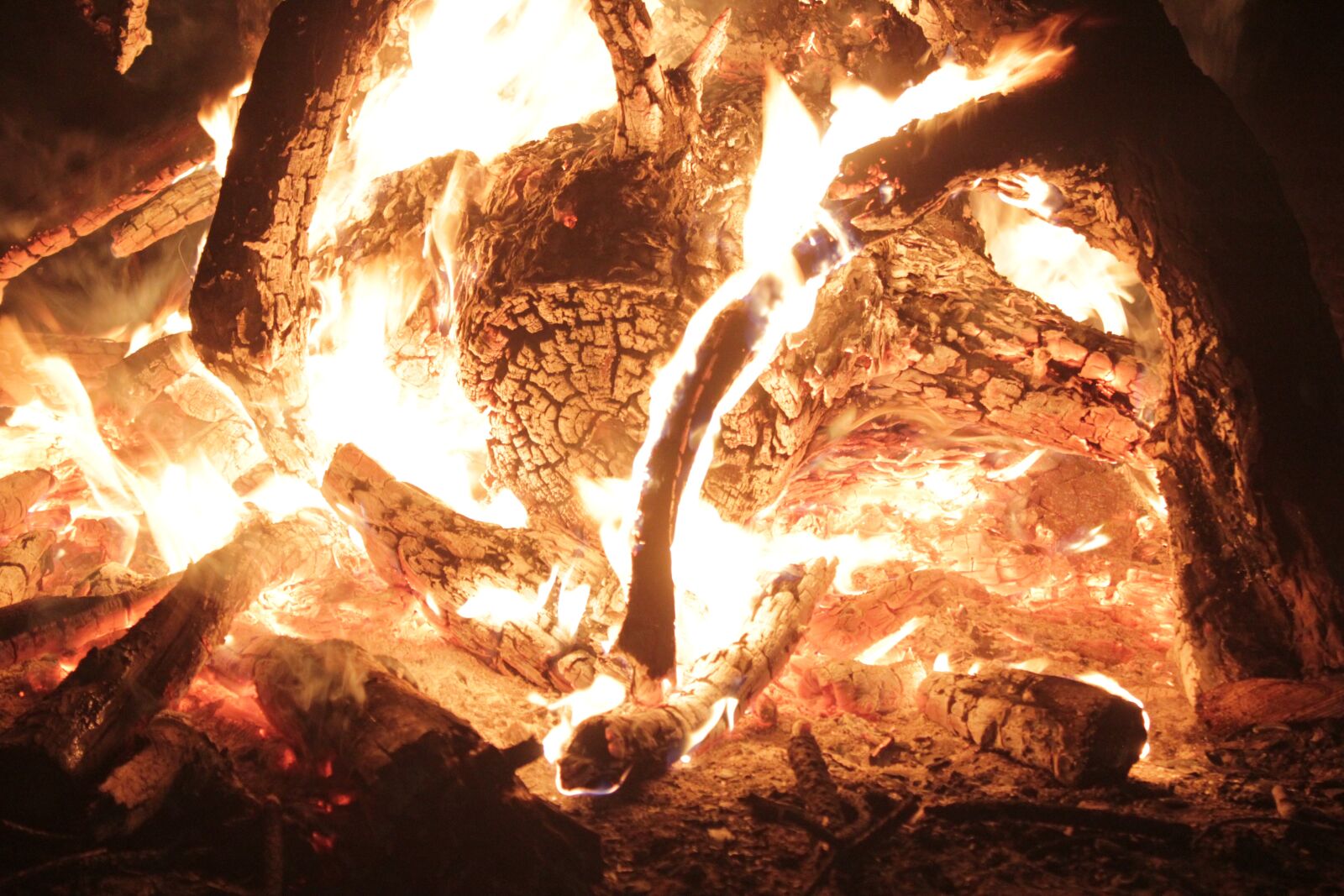 Canon EOS 550D (EOS Rebel T2i / EOS Kiss X4) sample photo. Camp, fire, blind photography