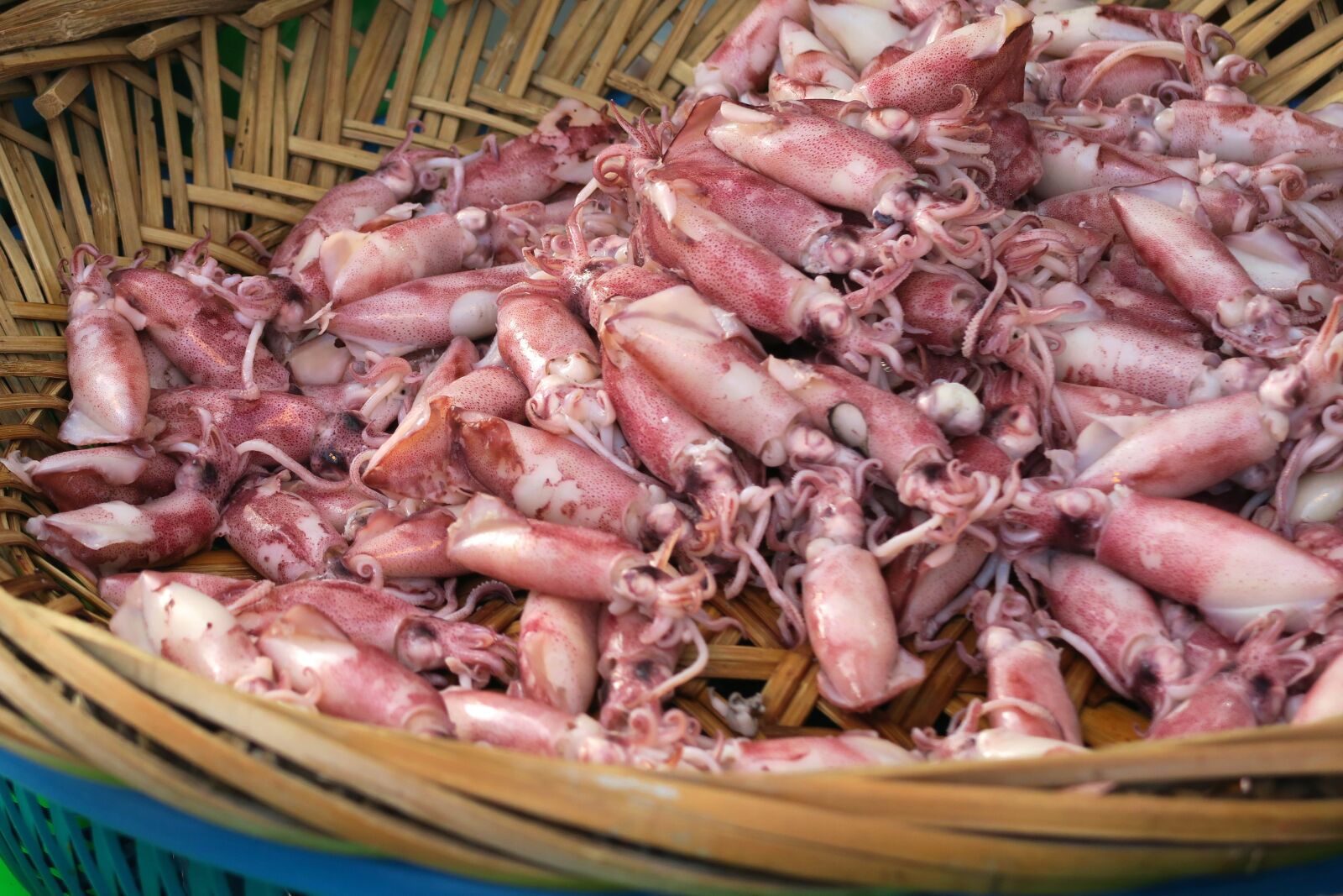 Canon PowerShot G7 X sample photo. Squid, seafood photography