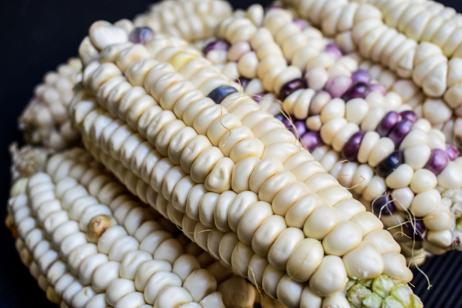 Nikon D3400 sample photo. Corn, cob, agriculture photography