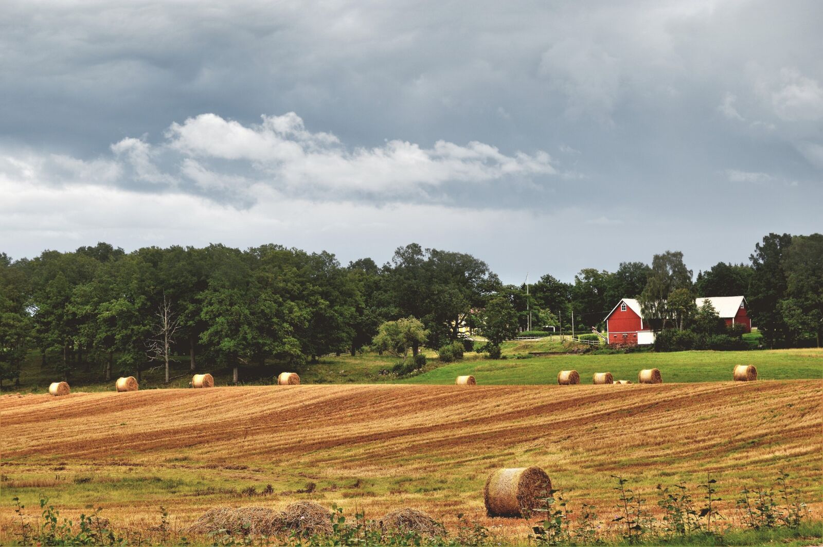 Nikon D3200 sample photo. Go, hay ball, hay photography
