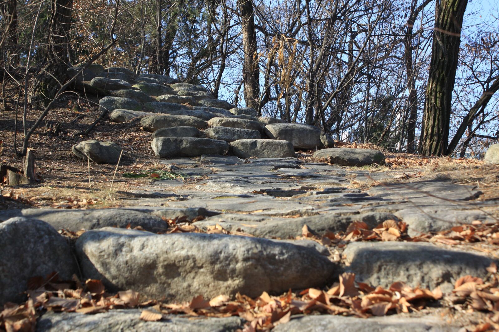 Canon EOS 50D sample photo. Stairs, stone, nature photography