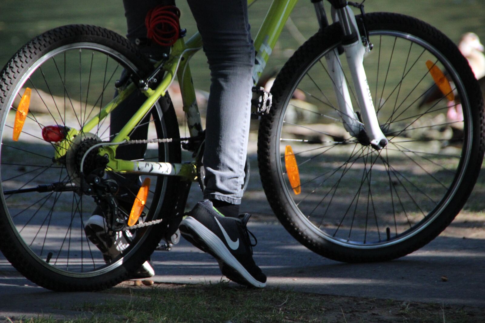 Canon EOS 600D (Rebel EOS T3i / EOS Kiss X5) sample photo. Cyclists, mature, spokes photography
