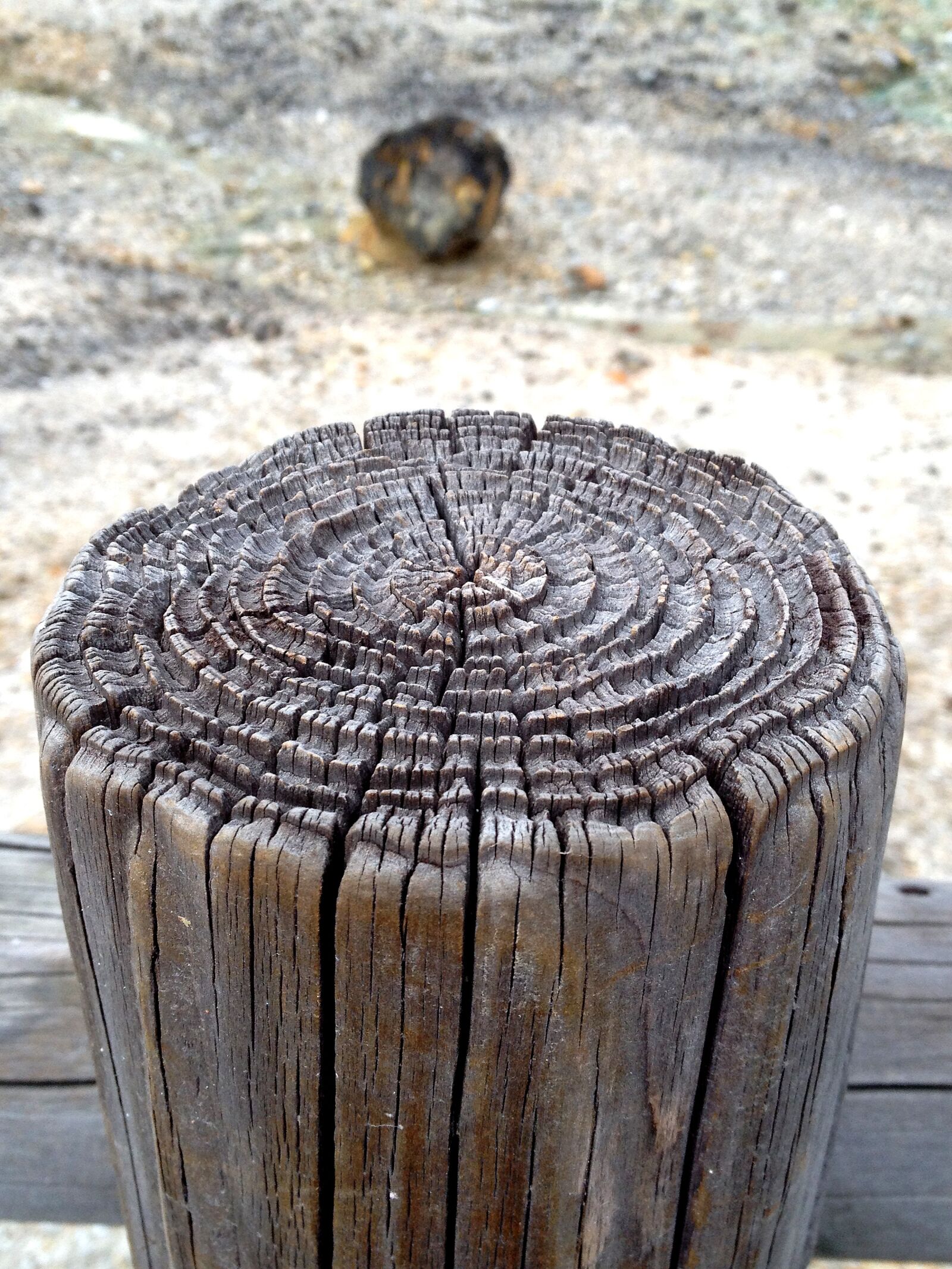 Apple iPhone 4S sample photo. Stakes, wood, trees photography